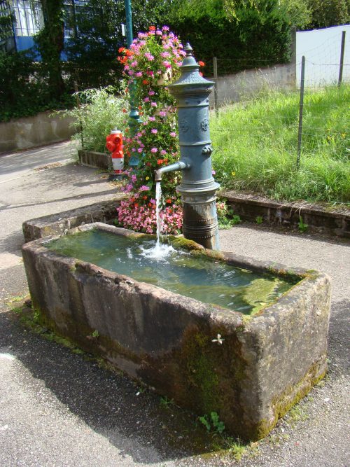 Le Refuge Alsace : Vacances au vert dans la nature typique de l’Alsace : géranium  fontaine en grés rose