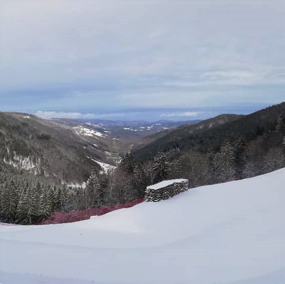 La vallée de la Liepvrette vue du col des Bagenelles.