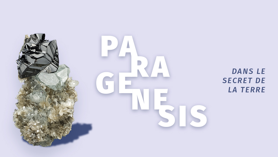 Mineral-Gem-2024-Sainte-Marie-aux-Mines-Bourse-Mineraux-France_FR