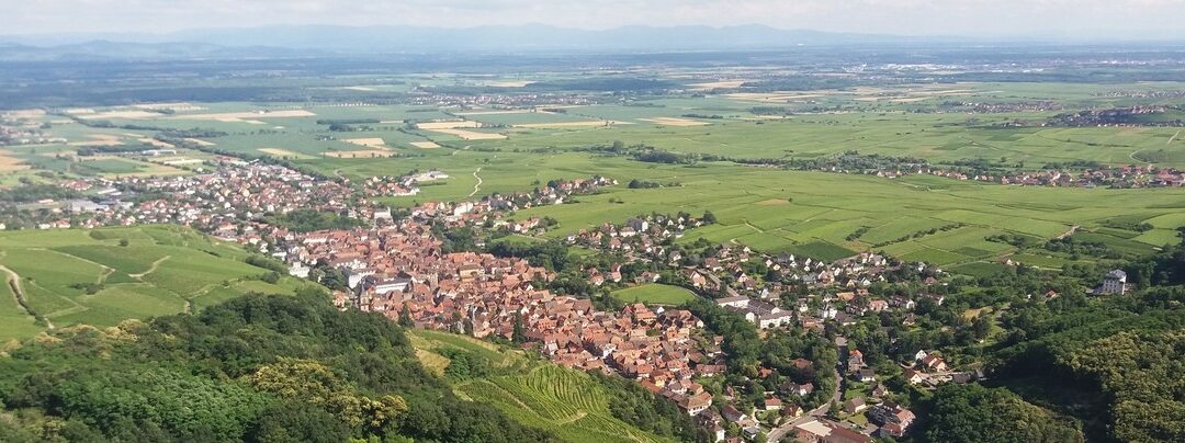 1150×400 – vallée du Rhin Alsace