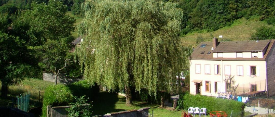 le-refuge-fertrupt-alsace-evangelique